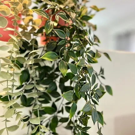 Appartement The Old Village *