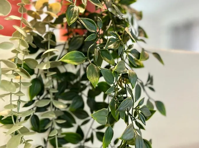 Διαμέρισμα The Old Village *